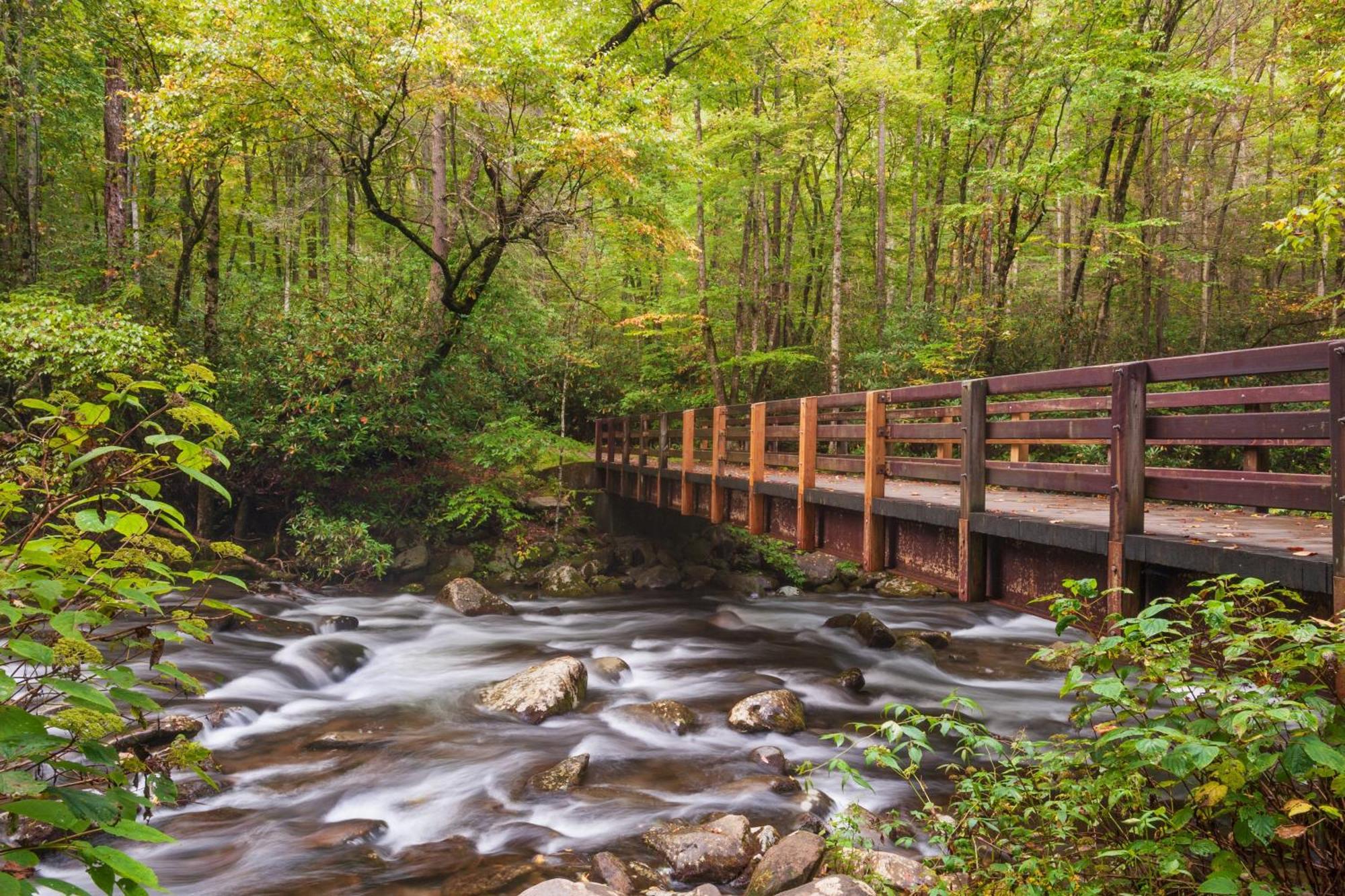 Moonshine Chalet, Hot Tub, Pool Access, Wifi, 1089 Free Tickets Each Paid Day, Dollywood And More 蓋特林堡 外观 照片